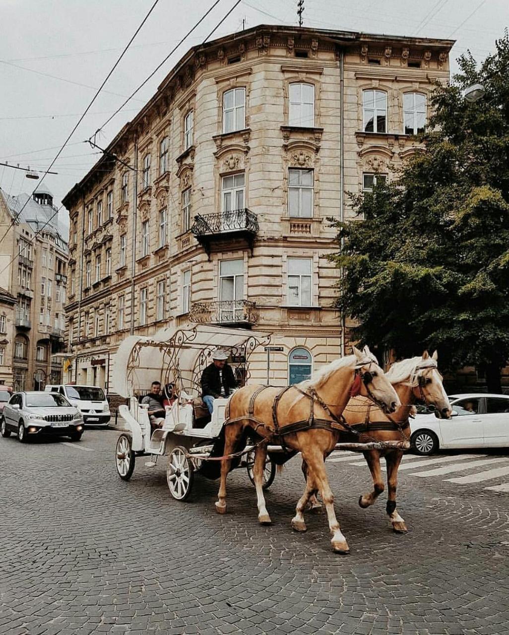 Staroevreyskaapart Львів Екстер'єр фото